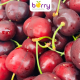 Cherry New Zealand - Trái cây nhập khẩu tươi ngon vượt trội